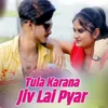 About Tula Karana Jiv Lai Pyar Song